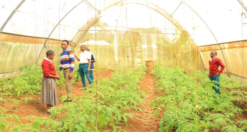 Greenhouse Farming