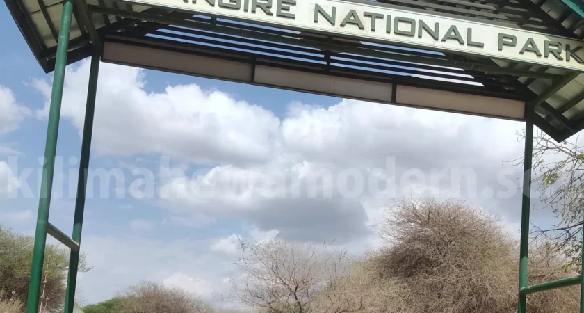 Teaching Beyond the Classroom